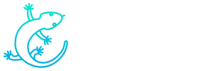 LizardPages Academy